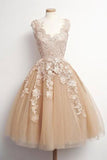 Champagne tulle lace short prom dress, cute homecoming dress HZ1023