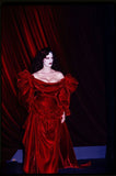 Vintage A Line Puff Sleeve Burgundy Velvet Long Party Dress Evening Dress HZ1023
