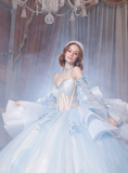 Baby Blue Sweetheart Neck Appliques Beaded Tulle Prom Dress Quinceanera Dress Ball Gown HZ1023