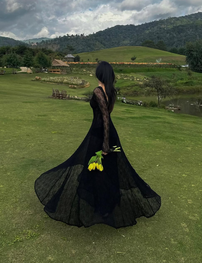 Black Lace Sexy A Line Long Sleeve Evening Dress Prom Dresses Formal Gown HZ1023