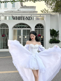 Princess White A Line Long Sleeve Chiffon Satin Long Sweep Party Dress Evening Dress HZ1023