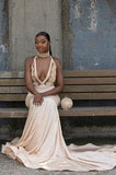 HALTER DEEP V-NECK MERMAID EVENING DRESS APPLIQUES PROM DRESS HZ1023