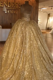 LUXURIOUS BALL GOWN PRINCESS OPEN BACK PROM PARTY GOWNS ROM DRESS HZ1023