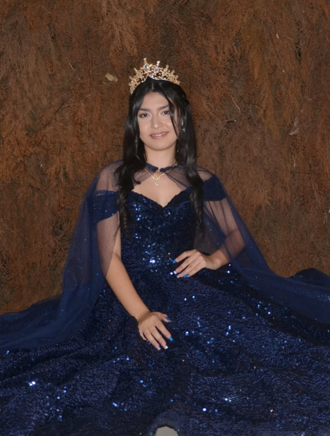 Shiny Royal Blue Ball Gown Off the Shoulder Sequin Sweet 16 Dress Party Gowns Quinceanera Dresses HZ1023