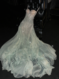 Romantic A Line Strapless Beaded Green Champagne Tulle Party Dress Evening Dress HZ1023