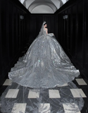 Silver Sequin Ball Gown Round Neck Prom Dress Evening Dress Party Dress HZ1023