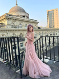 Pink Princess A Line Sweetheart Neck Tulle Lace Long Prom Dress Party Dress Birthday Dress HZ1023