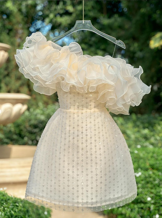 Champagne A Line Off the Shoulder Tulle Short Homecoming Dress Evening Dress HZ1023