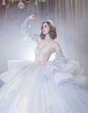 Baby Blue Sweetheart Neck Appliques Beaded Tulle Prom Dress Quinceanera Dress Ball Gown HZ1023