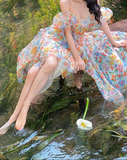 Unique Print Floral A Line Off the Shoulder Chiffon Long Prom Dress Party Dress HZ1023