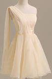 Elegant Short Tulle A-line Dress,One Shoulder Homecoming Dress HZ1023
