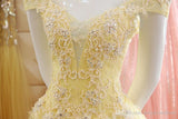 Yellow Tulle Off The Shoulder Lace Prom Dress HZ1023