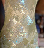 Gentle Green Mermaid Spaghetti Strap Sequin Chiffon Prom Dress Evening Dress HZ1023