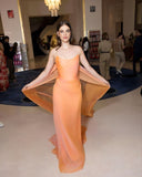 Orange Sheath Strapless Chiffon Long Party Dress Prom Dress HZ1023