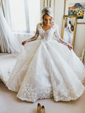 Elegant Ball Gown Long Sleeve V Neck Appliques White Tulle Wedding Dress with Sweep Train HZ1023