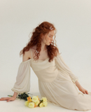 Ivory Gentle A Line Long Sleeve Chiffon Long Prom Dress Party Dress Outfits HZ1023