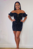 Beautiful Sweetheart Sequnins Homecoming Dress HZ1023