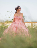 Pink Sweetheart Neck Corset 3D Flower Tulle Ball Gown Sweet 16 Dress Quinceanera Dress HZ1023