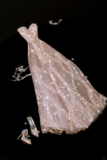 Light Champagne A Line Sweetheart Neck Sequin Tulle Prom Dress Party Dress HZ1023
