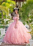 Pink Sweetheart Neck Corset 3D Flower Tulle Ball Gown Sweet 16 Dress Quinceanera Dress HZ1023
