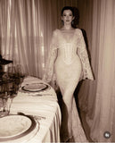 Classic Mermaid V Neck Corset Lace Long Sweep Party Dress Prom Dress Wedding Dress HZ1023