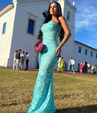 Blue Sheath Strapless Exquisite Lace Party Dress Evening Dress Prom Dress HZ1023