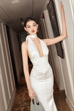 Mermaid Halter Sleeveless Satin Backless Prom Dress Evening Gown HZ1023