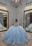 Gentle Blue Ball Gown Off the Shoulder Appliques Tulle Sweet 16 Dress Party Gowns Quinceanera Dresses HZ1023