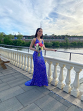 Shiny Royal Blue Sequins Mermaid Evening Dress Long Prom Dress HZ1023