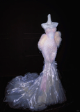Dreamy Mermaid Sweetheart Neck Beaded Feather Tulle Party Dress Evening Dress HZ1023