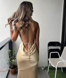 Sexy Sheath Halter Backless Champagne Satin Prom Dresses Evening Dress HZ1023