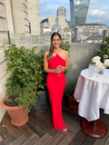 Simple Red Sheath Halter Satin Long Prom Dress Evening Dress HZ1023