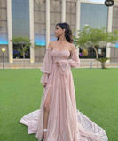 Pink Tulle Sweetheart Neck Long Sleeves Prom Dress Evening Dress HZ1023