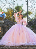 Cute Pink A Line Long Sleeve Flower Tulle Quinceanera Dresses Ball Gown HZ1023