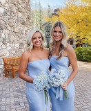 Simple Baby Blue Sheath Strapless Satin Long Bridesmaid Dress Evening Dress HZ1023