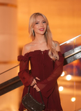 Burgundy A Line Long Sleeve Chiffon Short Homecoming Dress Cocktail Dress HZ1023