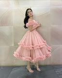 Peach Pink A Line Off the Shoulder Layered Tulle Prom Dress Party Birthday Dress HZ1023